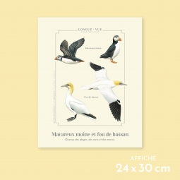 Macareux moine et fou de...