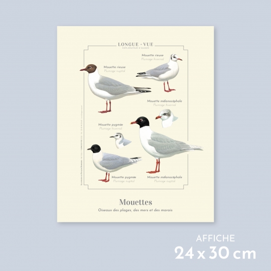 affiche mouettes - Longue-vue.art