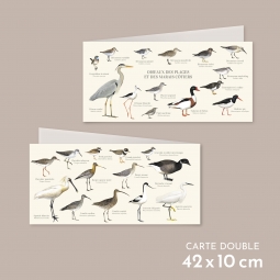 Oiseaux des plages et des...