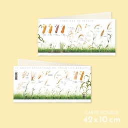 Céréales de France