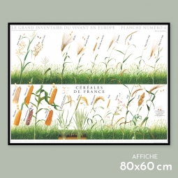 Céréales de France
