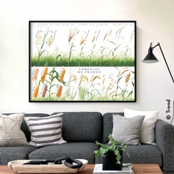 Céréales de France