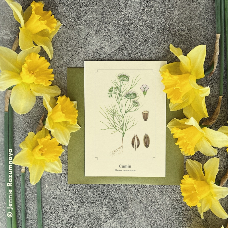 Cumin
