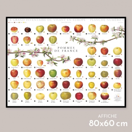 Pommes de France