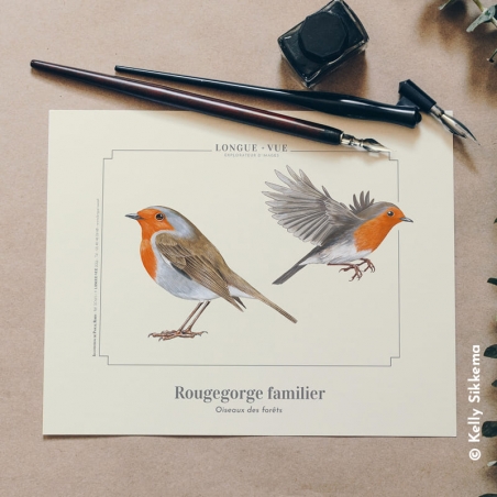 Rougegorge familier