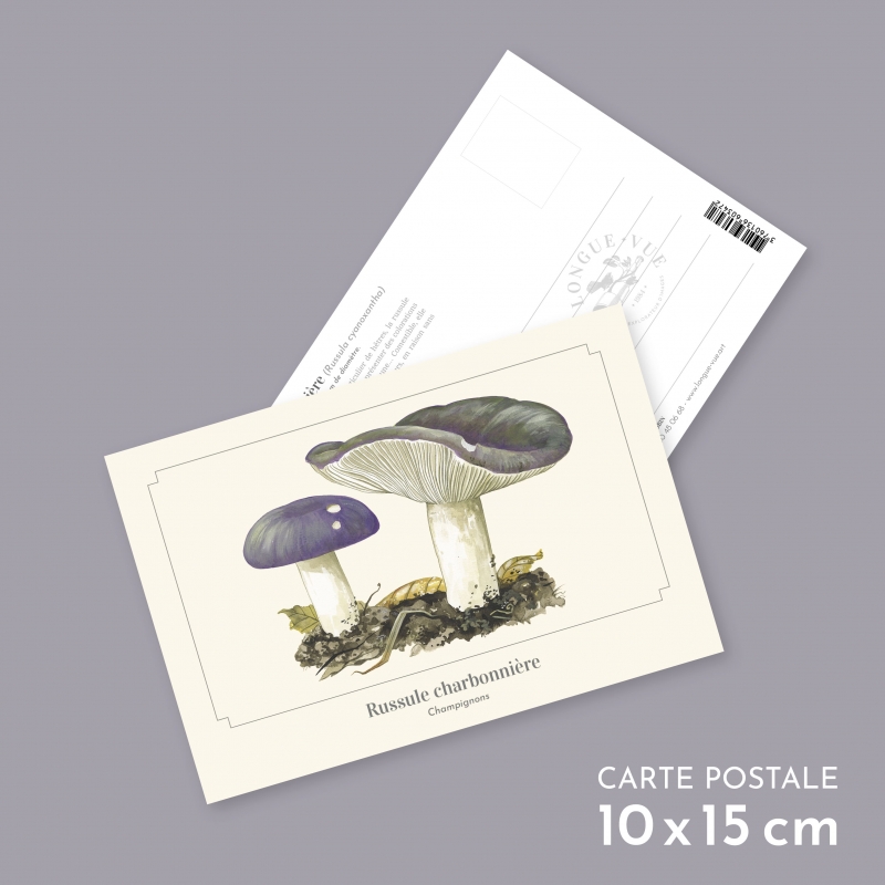 Russule charbonnière