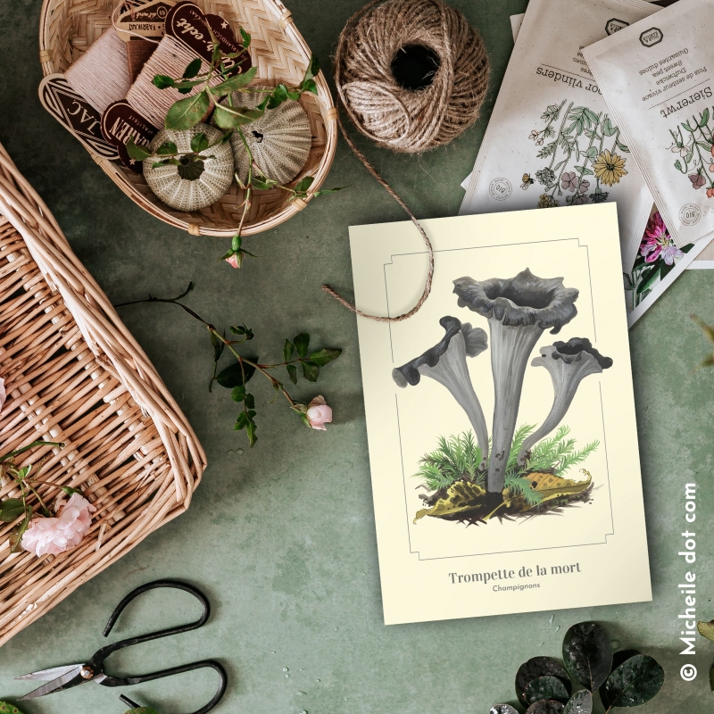 Trompette de la mort