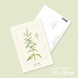 Verveine Verveine