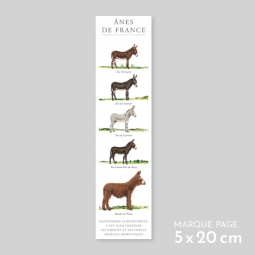 Ânes de France Ânes de France