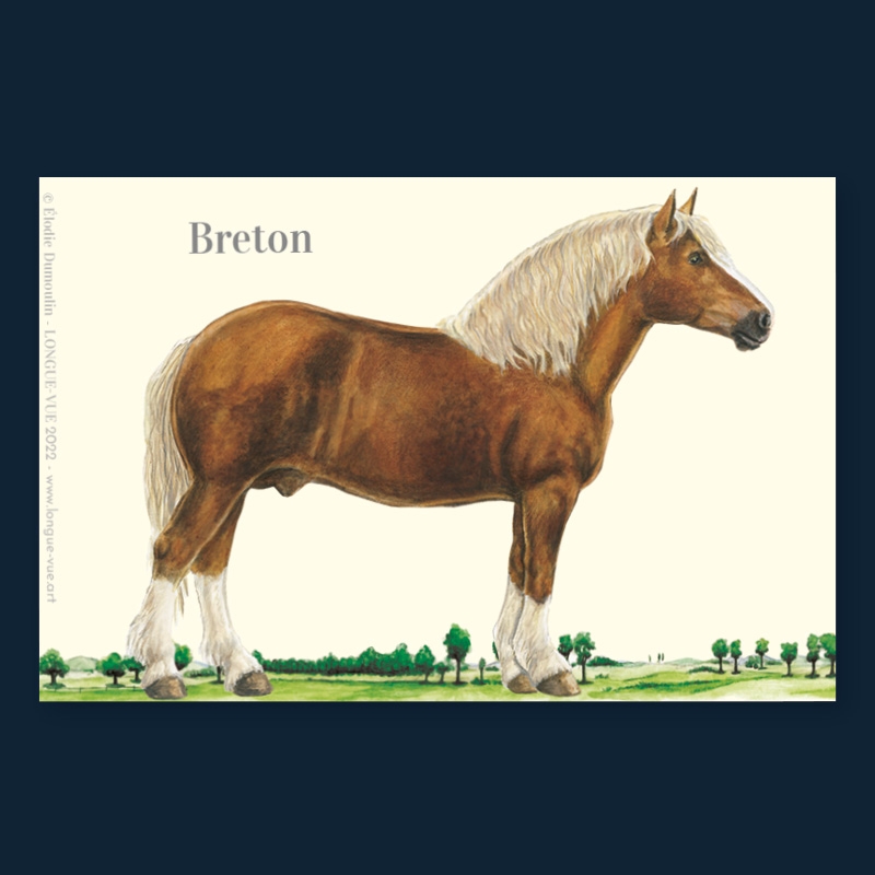 Breton