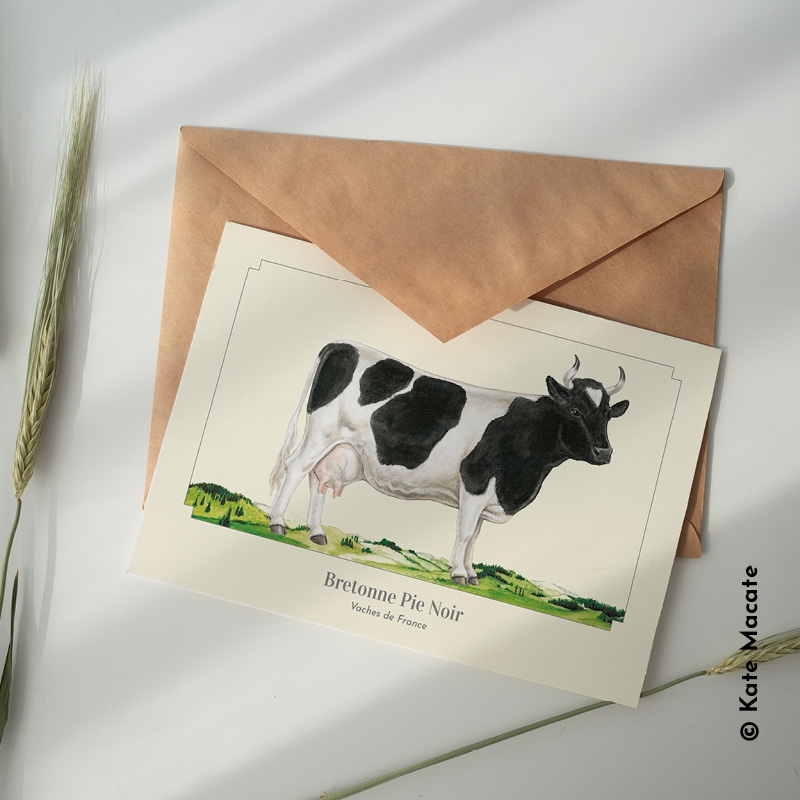 Bretonne pie noir