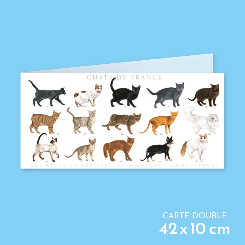 Chats de France