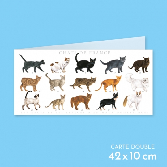 Chats de France