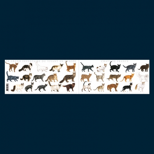 Chats de France