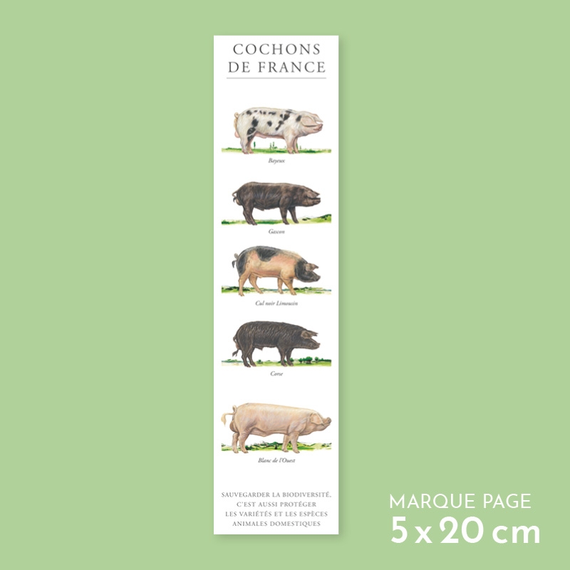 Cochons de France