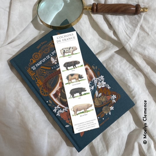 Cochons de France
