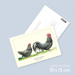 Courtes-pattes