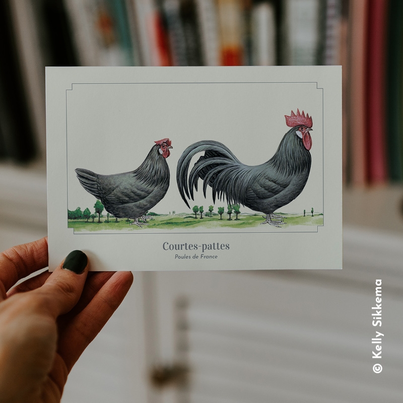 Courtes-pattes