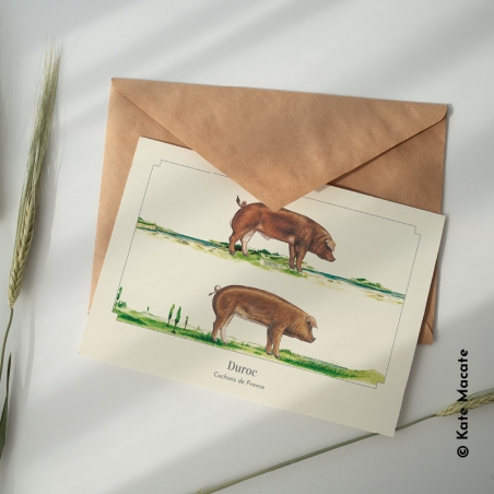 Duroc Duroc