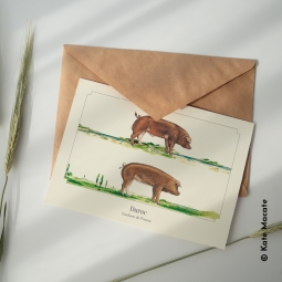 Duroc Duroc