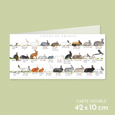 Lapins de France Lapins de France