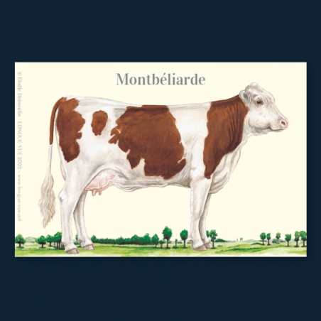 Montbéliarde