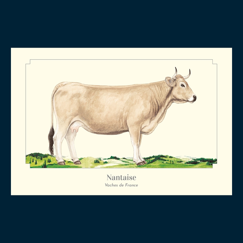Nantaise