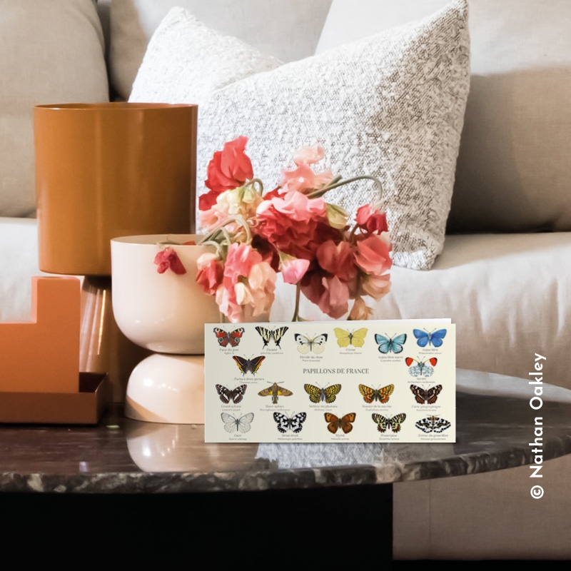 Papillons de France