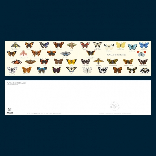 Papillons de France
