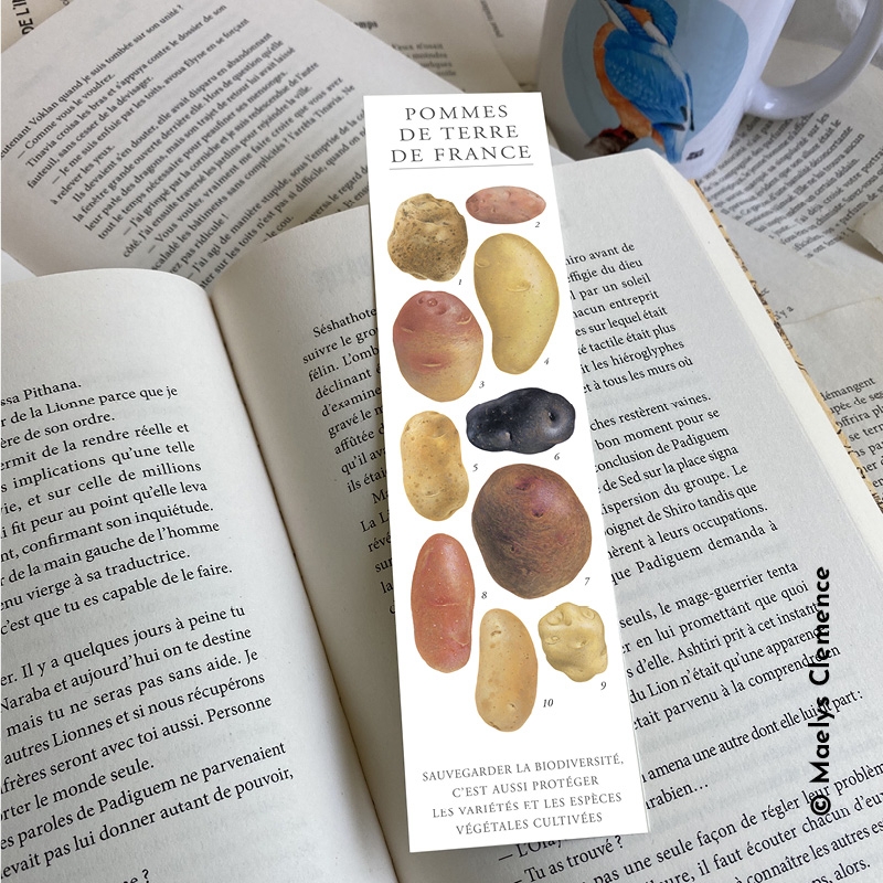 Pommes de terre de France