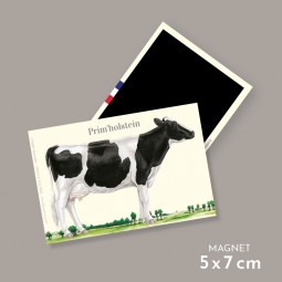 Prim'holstein