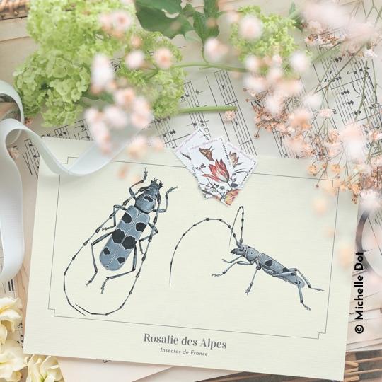 carte postale rosalie des alpes