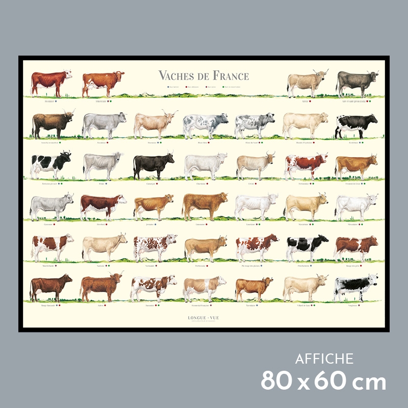Vaches de France