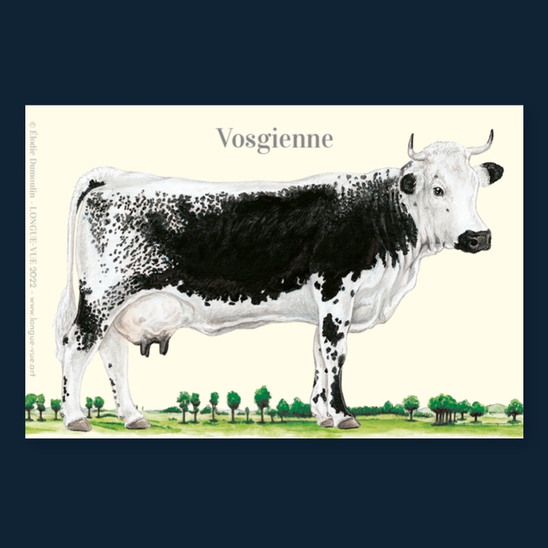 Vosgienne