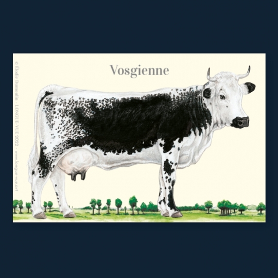 Vosgienne
