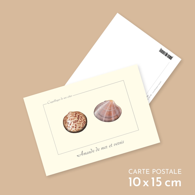 Amande de mer et vernis