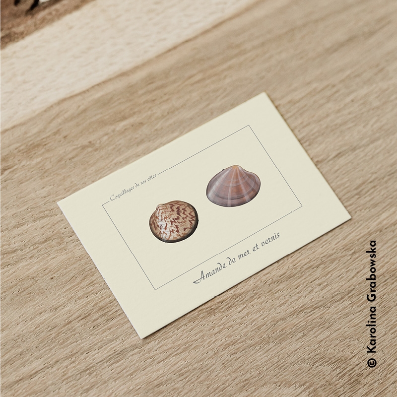 Amande de mer et vernis