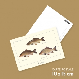 Carpes Carpes