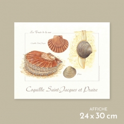 Coquille Saint-Jacques et praire Coquille Saint-Jacques et praire