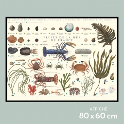 Fruits de mer de France