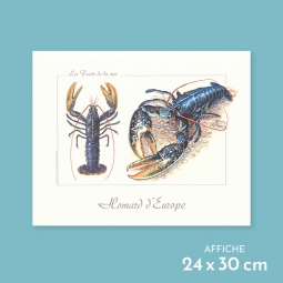 Homard d'Europe