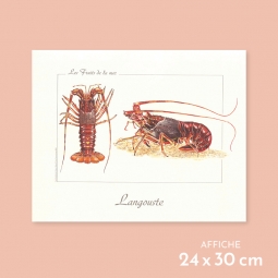 Langouste européenne