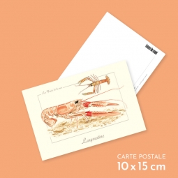 Langoustine