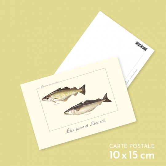 Lieu jaune et lieu noir