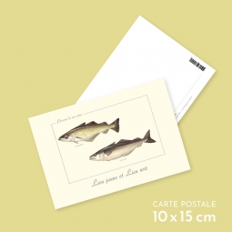 Lieu jaune et lieu noir