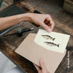 Lieu jaune et lieu noir