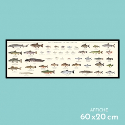 Poissons d'eau douce