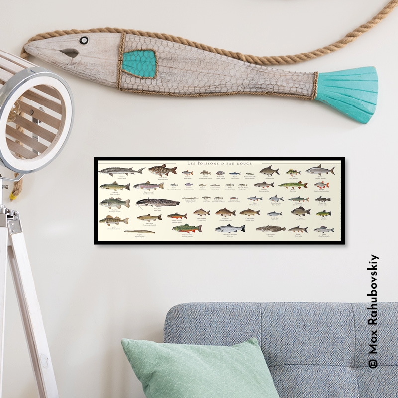 Poissons d'eau douce