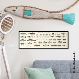 Poissons d'eau douce