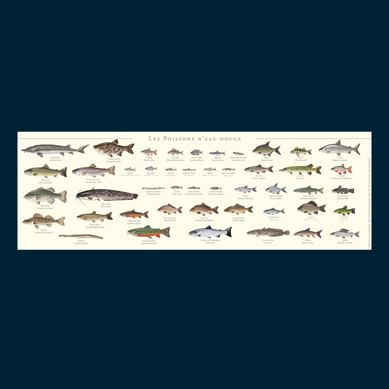 Poissons d'eau douce